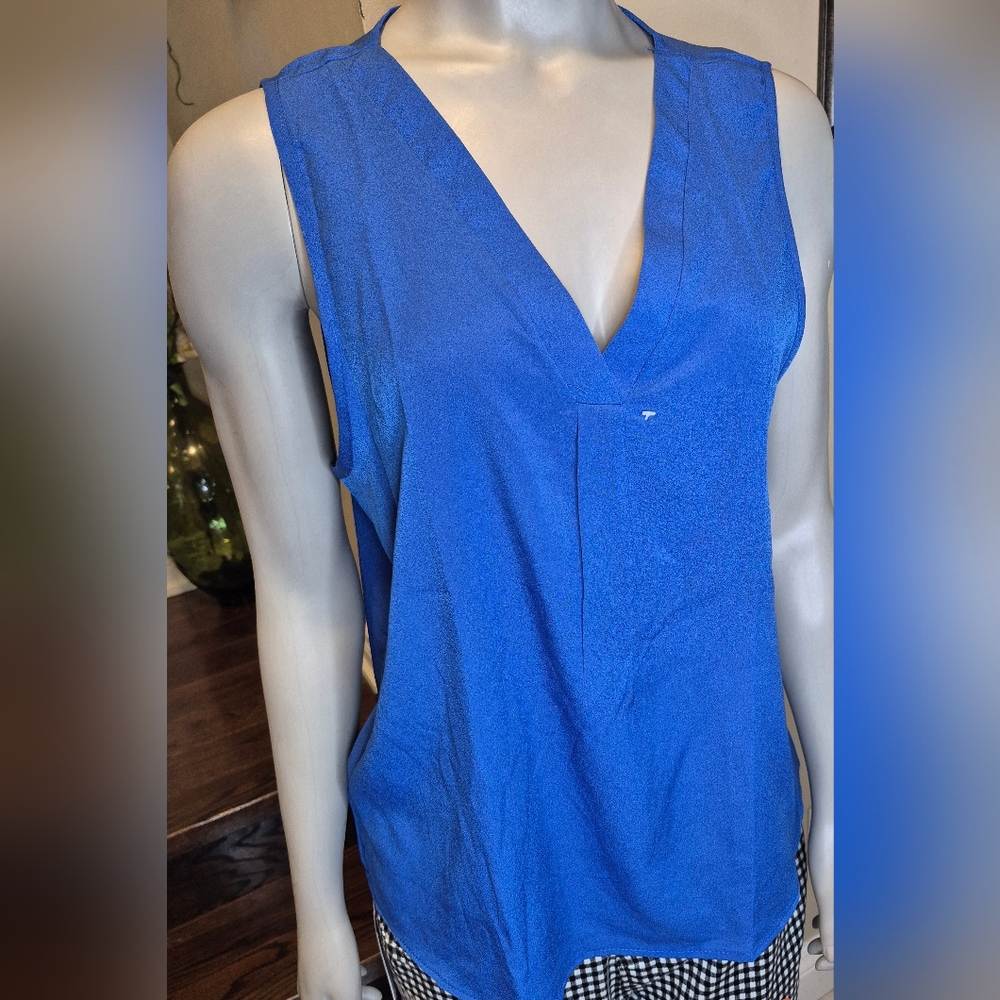 Blue Sleeveless V-Neck Top
